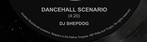 DJ Shepdog 'Dancehall Scenario' (Vibe)