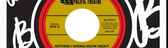 The Bamboos - Nothing I Wanna Know (Pacific Theatre)