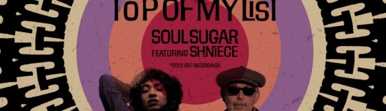 Soul Sugar - Top Of My List (feat. Shniece McMenamin) (Gee) 